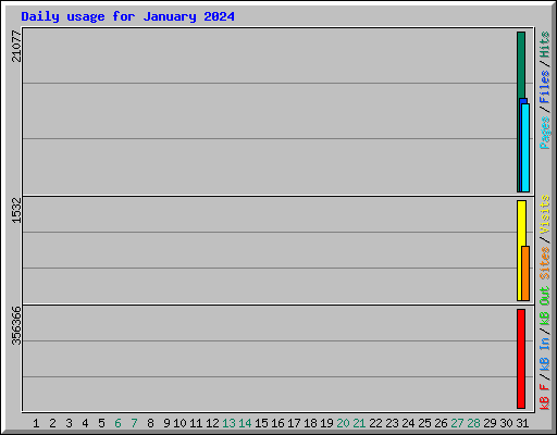 Daily usage for January 2024