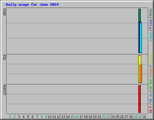 Daily usage for June 2024