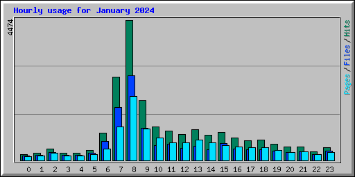 Hourly usage for January 2024