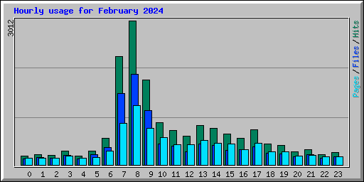 Hourly usage for February 2024