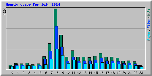 Hourly usage for July 2024
