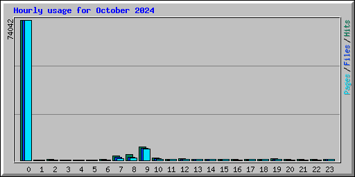 Hourly usage for October 2024