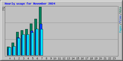Hourly usage for November 2024